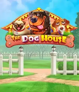 Pragmatic Play's The Dog House adventure, bringing you a fun-filled journey among playful pups. Enjoy gameplay elements including multipliers, designed for delivering joyful moments. Perfect for animal enthusiasts a cheerful setting and the opportunity to win big.