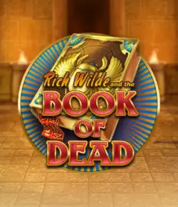 Enter the thrilling world of Book of Dead by Play'n GO, presenting vivid graphics of Rich Wilde’s adventurous journey through ancient Egyptian tombs and artifacts. Find lost riches with engaging mechanics like free spins, expanding symbols, and a gamble option. Ideal for those seeking adventure with a desire for thrilling discoveries.